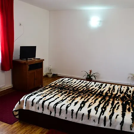Casa Nyx Privat bolig Costinesti