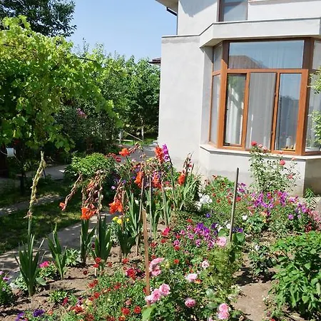 Casa Nyx